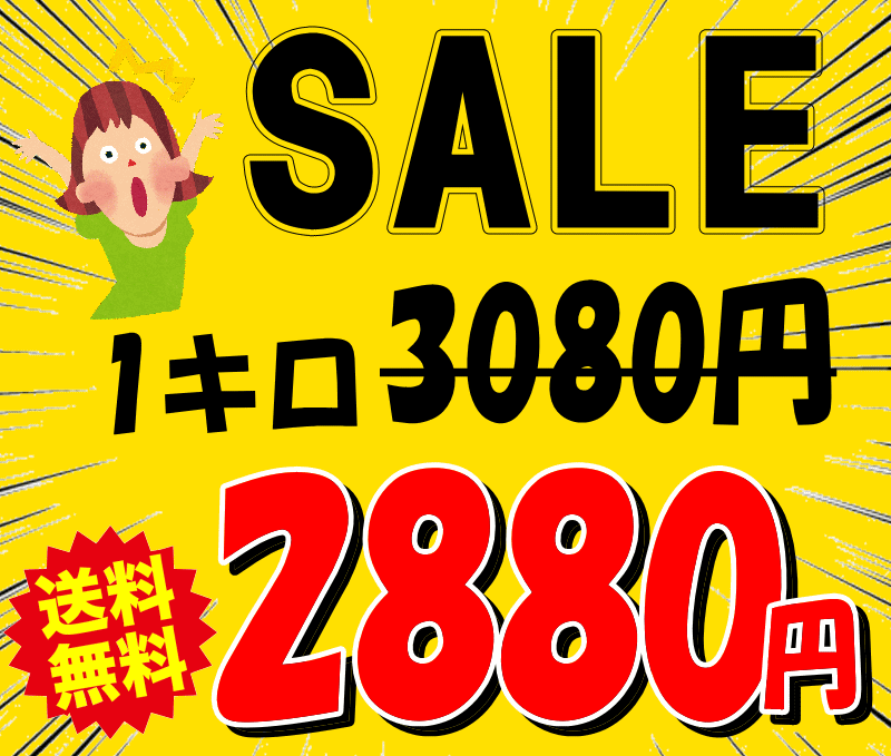 2880円！