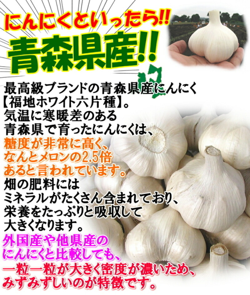 青森 にんにく 福地ホワイト六片種