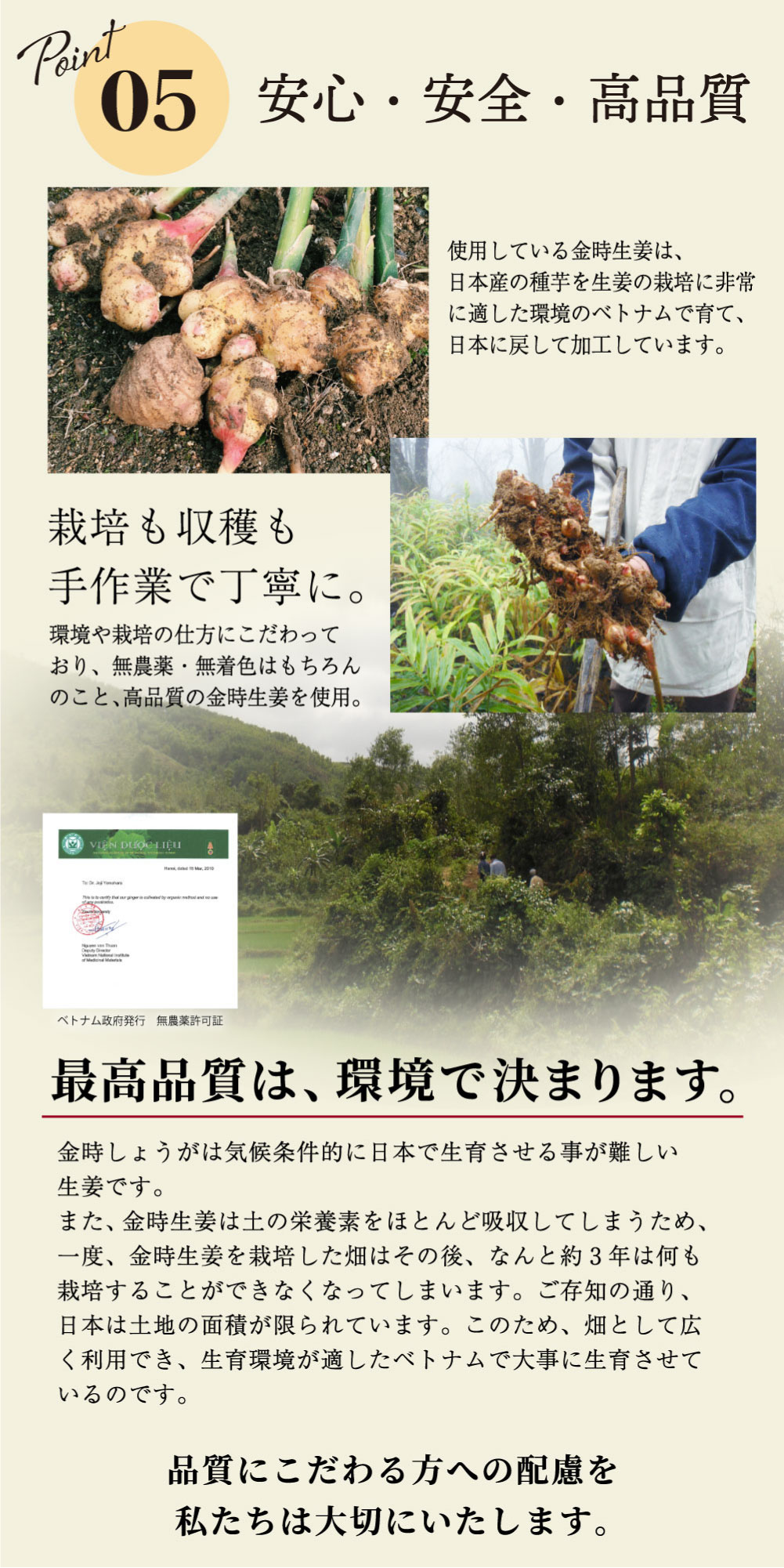 ポイント5、品質