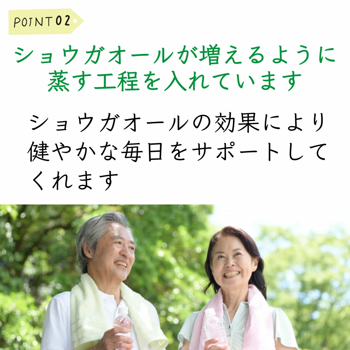 【ランキング1位受賞】 生姜パウダー 国産 味彩 しょうがパウダー 100g  粉末生姜 ジンジャーパウダー 生姜 粉末 ショウガ ジンジャー パウダー 生姜湯 無添加 飲み物 ドリンク 料理 加熱不要 ショウガオール