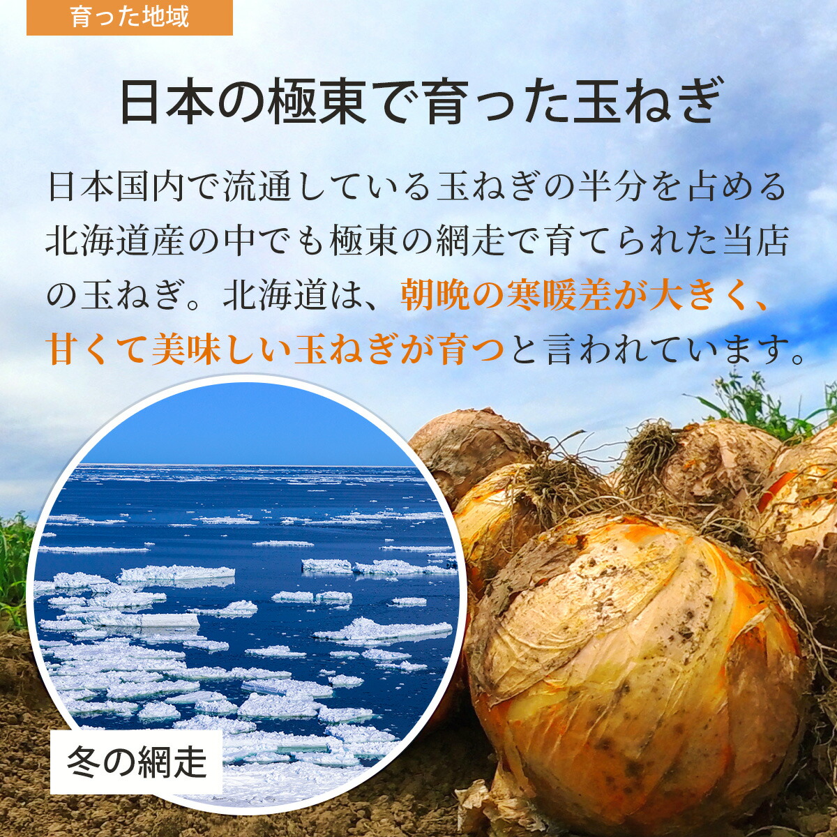北海道産玉ねぎ