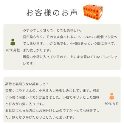 [Copy]大豊作祭 期間限定 特価＼楽天スーパーセール 4日 20:00 スタート／★愛媛が誇る 高級みかん 希少品種★創業85年 愛媛 みかん の老舗【産地直送】愛媛産 甘平 かんぺい 訳あり 3kg 「訳あり甘平3」 甘平みかん 西宇和みかん