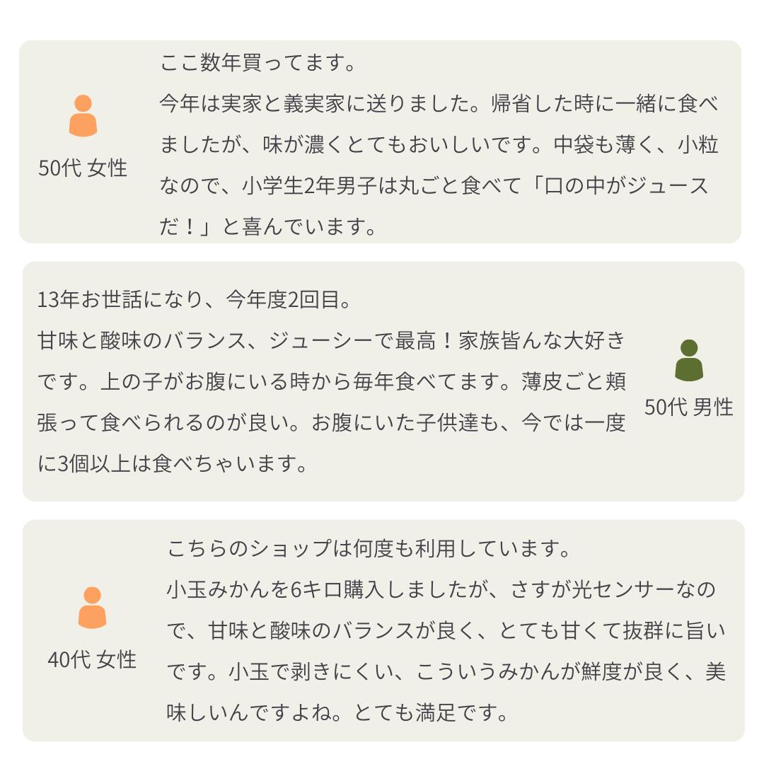 [Copy]大豊作祭 期間限定 特価＼楽天スーパーセール 4日 20:00 スタート／★愛媛が誇る 高級みかん 希少品種★創業85年 愛媛 みかん の老舗【産地直送】愛媛産 甘平 かんぺい 訳あり 3kg 「訳あり甘平3」 甘平みかん 西宇和みかん