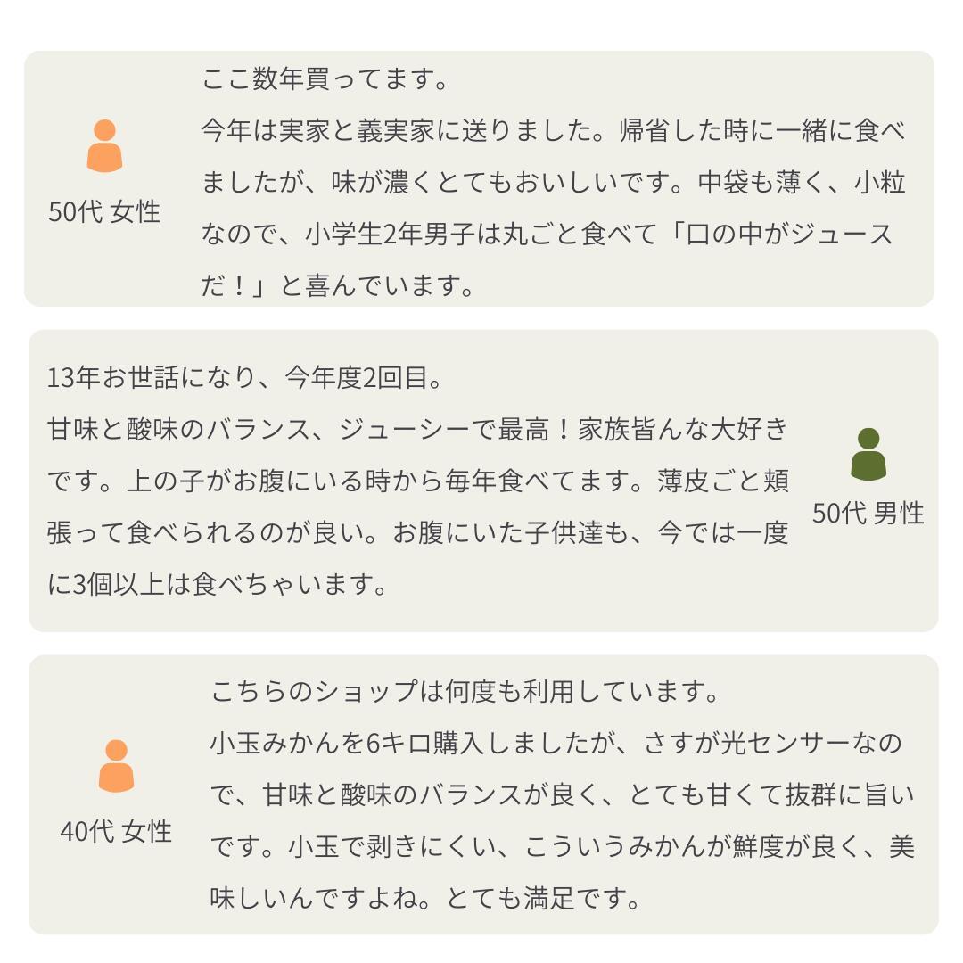 [Copy]大豊作祭 期間限定 特価＼楽天スーパーセール 4日 20:00 スタート／★愛媛が誇る 高級みかん 希少品種★創業85年 愛媛 みかん の老舗【産地直送】愛媛産 甘平 かんぺい 訳あり 3kg 「訳あり甘平3」 甘平みかん 西宇和みかん