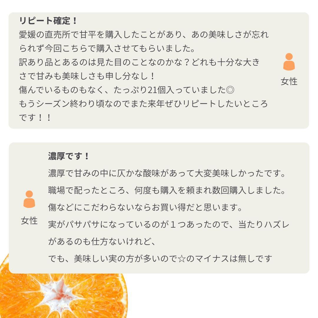 大豊作祭 期間限定 特価＼楽天スーパーセール 4日 20:00 スタート／★愛媛が誇る 高級みかん 希少品種★創業85年 愛媛 みかん の老舗【産地直送】愛媛産 甘平 かんぺい 訳あり 5kg 「訳あり甘平5」 甘平みかん 西宇和みかん