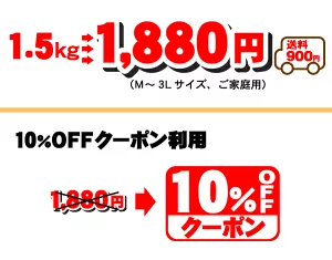 ★本日10％OFFクーポン★　極める　せとか　たっぷり3kg⇒10%OFFクーポンで3,384円★TVで話題！極める　せとか　みかん★クーポンで最安値に挑戦！極める！大人気のトロトロせとか・2箱以上注文で送料無料サービス付・福袋