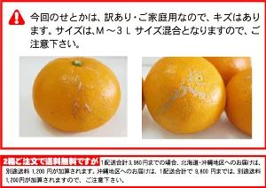 ★本日10％OFFクーポン★　極める　せとか　たっぷり3kg⇒10%OFFクーポンで3,384円★TVで話題！極める　せとか　みかん★クーポンで最安値に挑戦！極める！大人気のトロトロせとか・2箱以上注文で送料無料サービス付・福袋