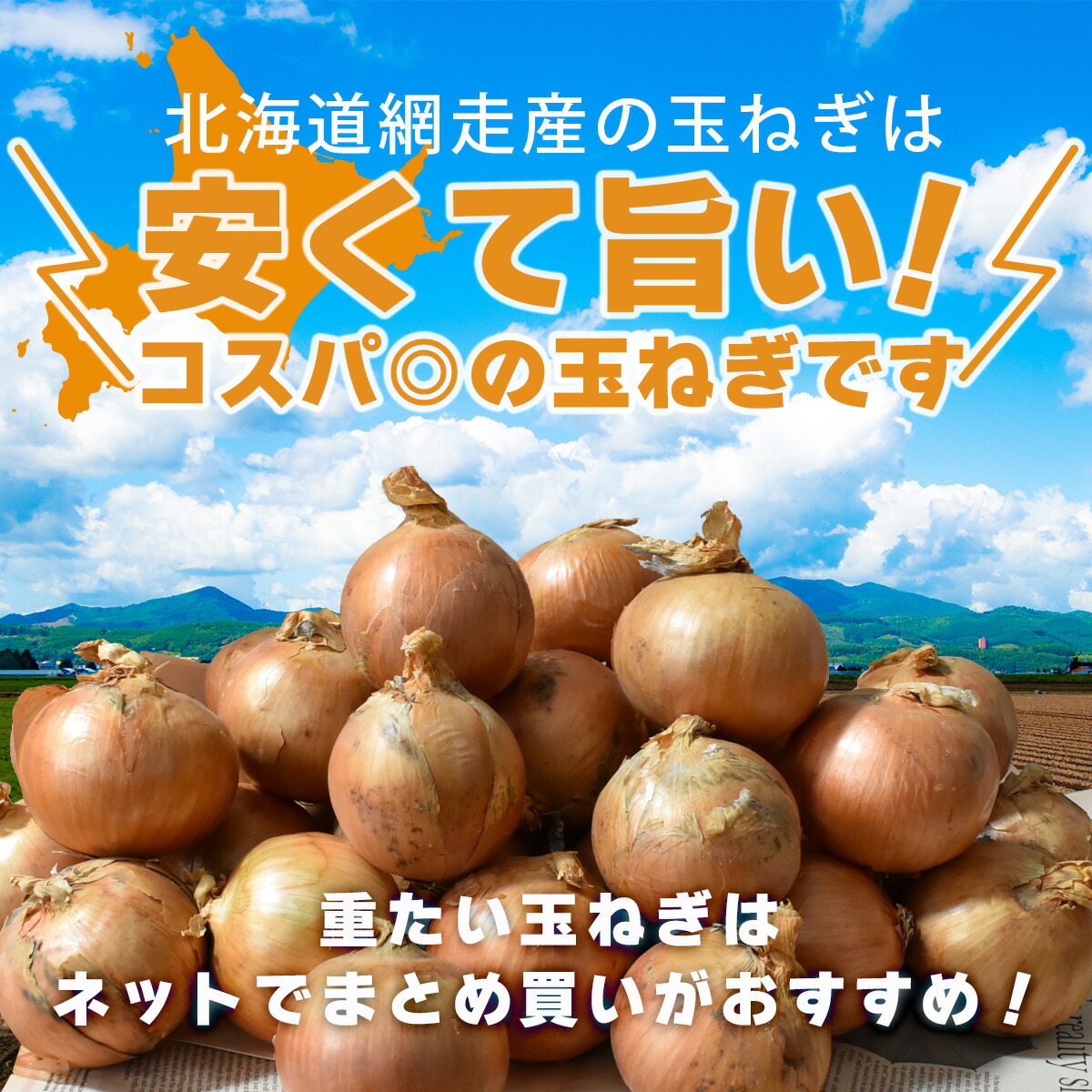北海道産玉ねぎ