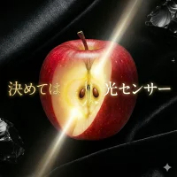 優良店舗 認定　割引ｸｰﾎﾟﾝ＋ﾎﾟｲﾝﾄ最大10倍 光センサーりんご 楽天優良 認定店 【増量】 グルメ大賞 青森県産 りんご 規格外品 サンふじ ふじ  サンつがる 規格外 訳あり 家庭用 ジュース リンゴジュース 1.5kg 2kg 3kg 5kg 10kg 2キロ 3キロ 5キロ 10キロ