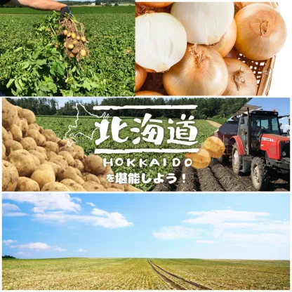 北海道 網走産 玉葱 10kg 20kg たまねぎ タマネギ カレー シチュー バーベキューやギフトに！ 国産 北海道産 網走 玉葱 玉ねぎ 産地直送 大容量 10キロ 20キロ お得用 まとめ買い 業務用 贈り物 甘い シャキシャキ 美味しい 北海道