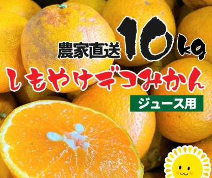 3営業日以内速攻出荷♪愛媛産 特に訳ありデコみかん 10kg(+約0.5kg多め)不揃い 傷 汚れ有 不知火・デコポンの規格外品 愛媛県産 家庭用 フルーツ 果物 くだもの 果実 食品 みかん 箱買い お取り寄せグルメ 蜜柑 柑橘類 かんきつ 産地直送