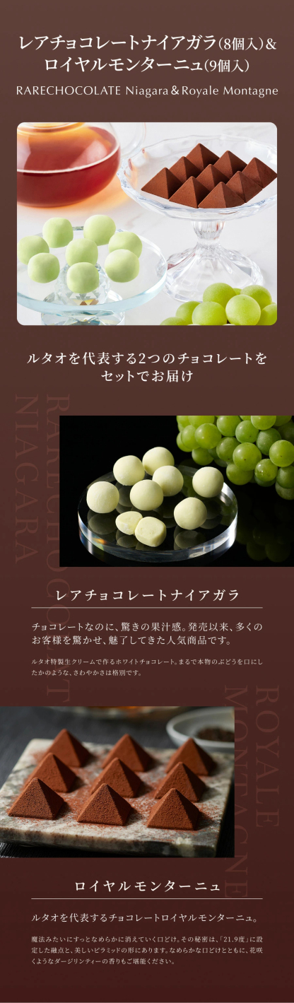 遅れてごめんね バレンタイン ルタオ LeTAO 2026 バレンタインデー チョコケーキ チーズケーキ ケーキ スイーツ 2個 セット チョコレートチーズケーキ 誕生日 洋菓子 プレゼント ギフト 誕生日 お取り寄せ 北海道 とろけるショコラセット