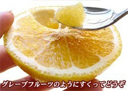 愛媛産 はるか 10kg 訳あり 不揃い 愛媛県産 春香 家庭用 フルーツ 果物 くだもの 果実 青果 食品 みかん 箱買い 蜜柑 柑橘類 かんきつ おやつ デザート 冬の味覚 産地直送