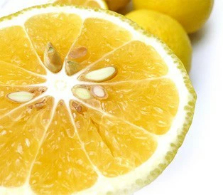 愛媛産 はるか 10kg 訳あり 不揃い 愛媛県産 春香 家庭用 フルーツ 果物 くだもの 果実 青果 食品 みかん 箱買い 蜜柑 柑橘類 かんきつ おやつ デザート 冬の味覚 産地直送