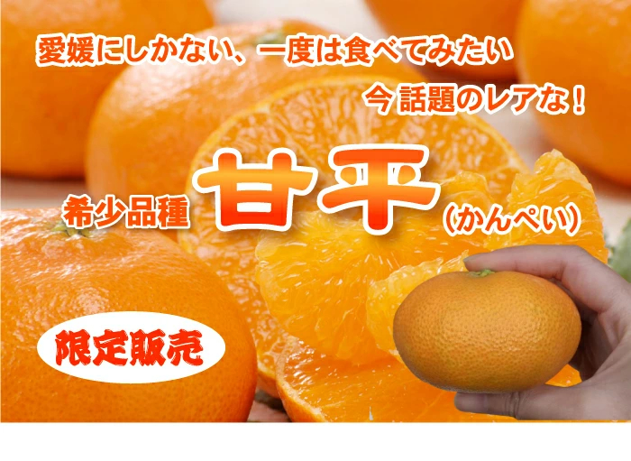 ★20%OFFクーポンで4,384円さらにポイント10倍★　かんぺい 5kg TVで話題！赤字覚悟の大箱5ｋｇ！希少品種・甘平（かんぺい）一度は食べてみたい今話題のレアなみかん！（訳あり・ご家庭用）