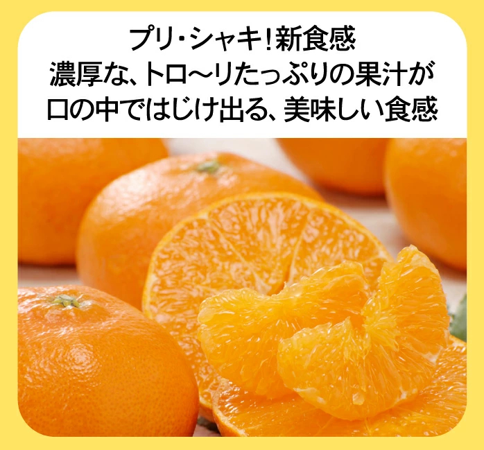 ★20%OFFクーポンで4,384円さらにポイント10倍★　かんぺい 5kg TVで話題！赤字覚悟の大箱5ｋｇ！希少品種・甘平（かんぺい）一度は食べてみたい今話題のレアなみかん！（訳あり・ご家庭用）