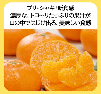 ★20%OFFクーポンで4,384円さらにポイント10倍★　かんぺい 5kg TVで話題！赤字覚悟の大箱5ｋｇ！希少品種・甘平（かんぺい）一度は食べてみたい今話題のレアなみかん！（訳あり・ご家庭用）