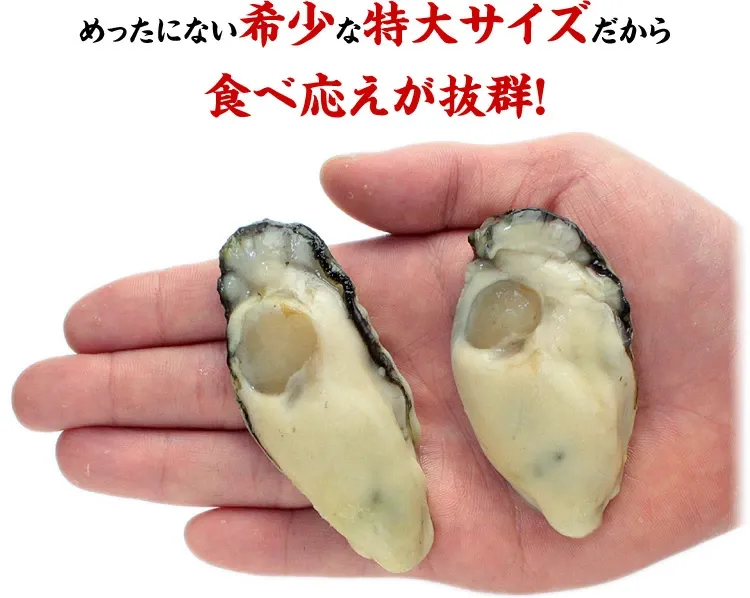 店長大暴走★お試し送料無料2,999円！更に2個で600円OFFクーポンあり！楽天ランキング1位＆楽天グルメ大賞受賞！ジャンボ広島かき1kg（解凍後850g/約26～35粒）【カキ】【牡蠣】【かき】【送料無料】