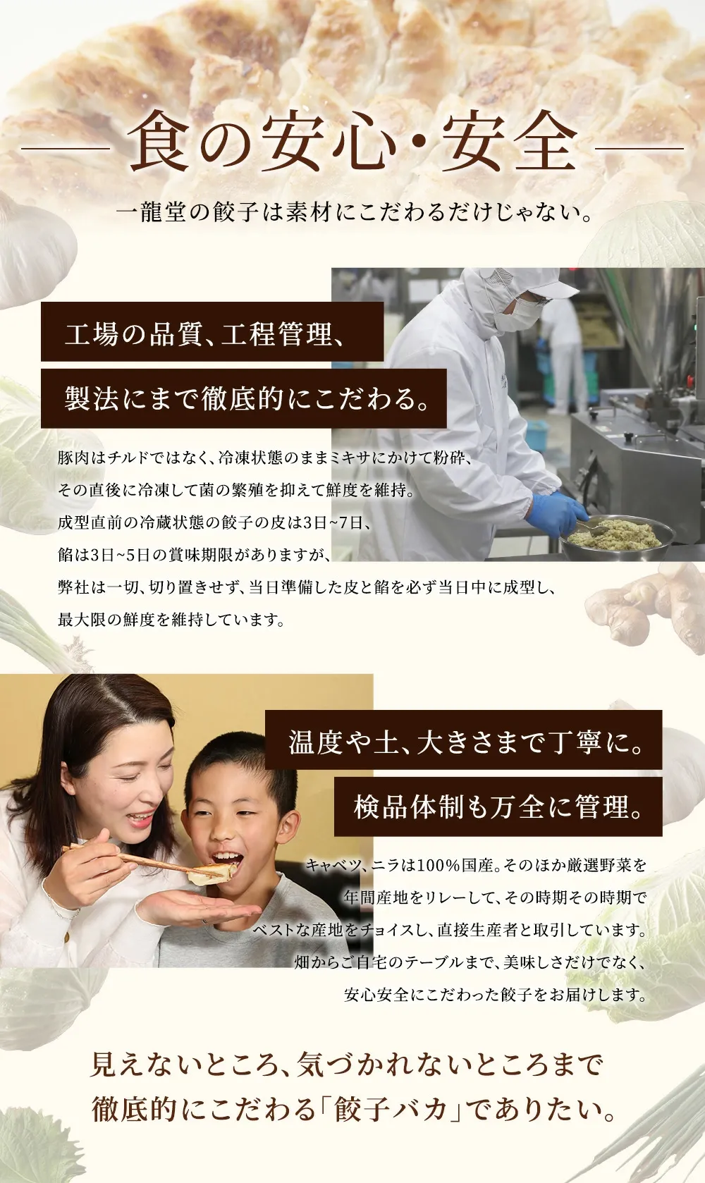 海老餃子＆黒豚肉入り餃子セット 餃子 約100個 60％以上えび（具）海老 エビ 一龍堂 餃子 ぎょうざ ギョウザ ギョーザ えび餃子 海老餃子 生餃子 冷凍食品 冷凍餃子