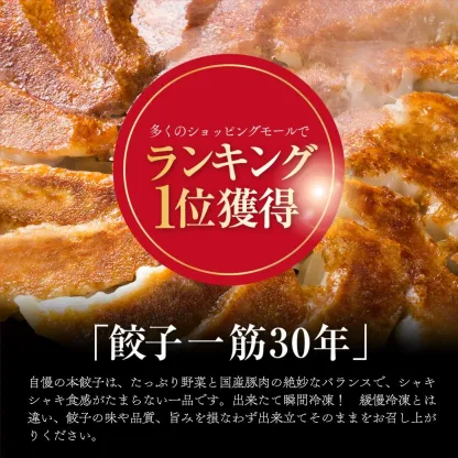 【4年連続中華総菜・点心部門グルメ大賞受賞！】餃子 送料無料 【5000万個完売】黒餃子48個本餃子48個！約96個分約16人前！