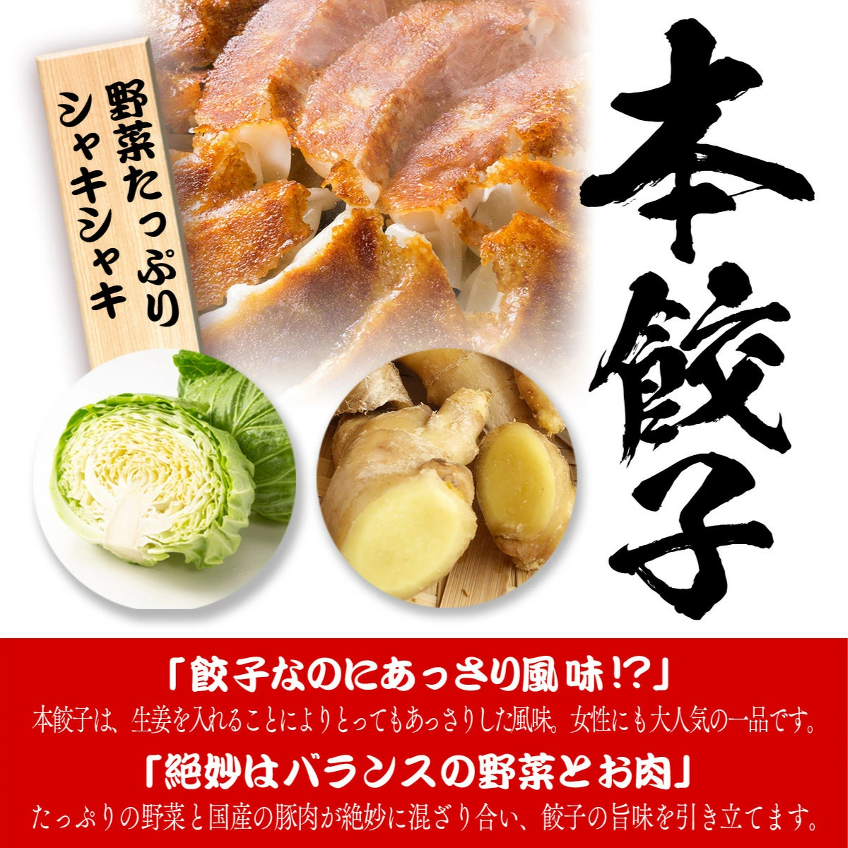 【4年連続中華総菜・点心部門グルメ大賞受賞！】餃子 送料無料 【5000万個完売】黒餃子48個本餃子48個！約96個分約16人前！