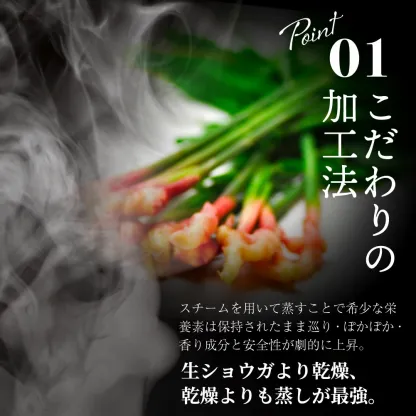 生姜パウダー 生姜の王様 金時生姜 100g 無農薬 金時しょうが 蒸し生姜 パウダー 粉末 ショウガオール 469mg 含有 無添加 温活 虎松屋
