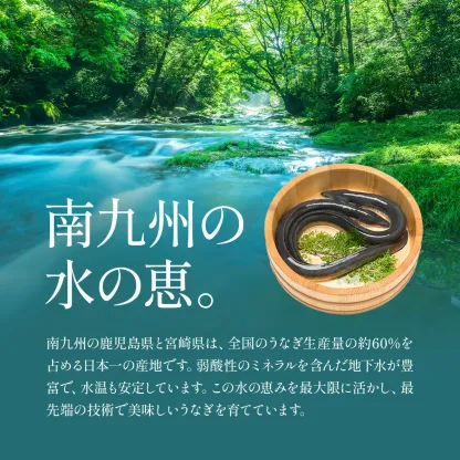 3/4/20時スタート★半額セールで24,980円⇒送料無料12,490円！希少な 国産 うなぎ 蒲焼き 超特大サイズ 220g前後×5尾 ウナギ 鰻 土用丑の日 冷凍食品