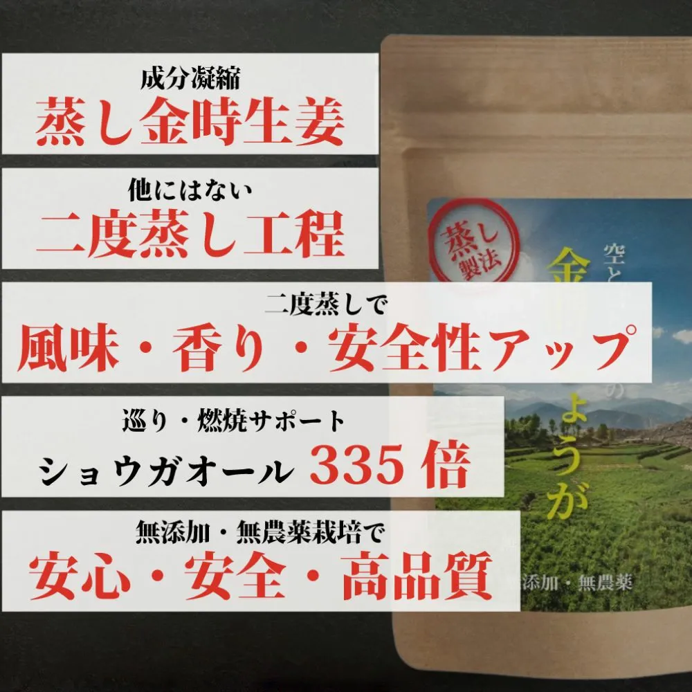 生姜パウダー 生姜の王様 金時生姜 100g 無農薬 金時しょうが 蒸し生姜 パウダー 粉末 ショウガオール 469mg 含有 無添加 温活 虎松屋