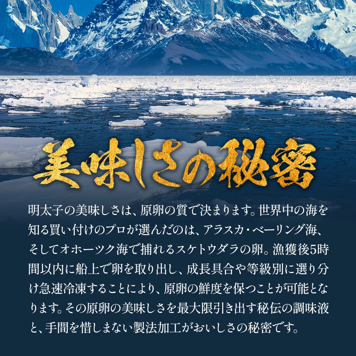 辛さが選べる⇒【訳あり/特切れ】辛子明太子 or 辛くないタラコ or 激辛明太子 業務用 たっぷり1kg 食べ放題！