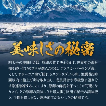 辛さが選べる⇒【訳あり/特切れ】辛子明太子 or 辛くないタラコ or 激辛明太子 業務用 たっぷり1kg 食べ放題！