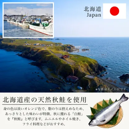 無添加 国産 天然 無塩 鮭 切り身 30g×20切【国内加工】魚 骨取り 骨なし 秋鮭 冷凍 解凍せずにそのまま使える 2個購入500円 3個購入900円 4個購入1,400円OFF まとめ買いクーポン付 塩なし 魚切り身 骨抜き さけ【C配送：冷凍】