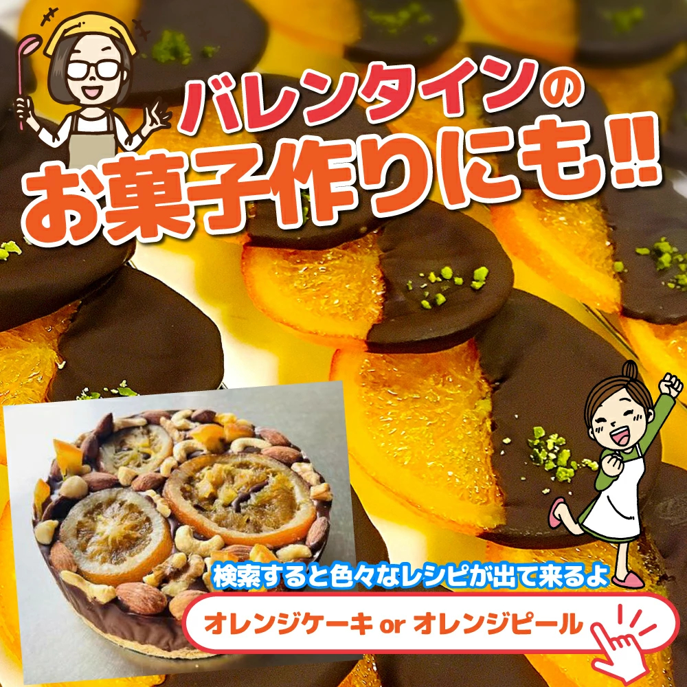 愛媛産 特に訳ありいよかん【送料無料(一部地域除く)】1０kg(+約0.5kg多め)不揃い 傷 汚れ有 伊予柑 イヨカン フルーツ 美味しいみかん 果物 くだもの 温州みかん 柑橘類 かんきつ 食品ロス コロナ いよ柑 産地直送 みかん