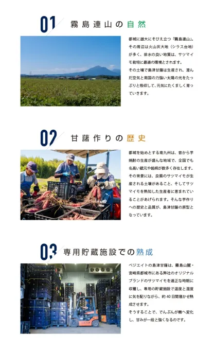 さつまいも 紅はるか 2kg 5kg 10kg 熟成 さつま芋 訳あり じゃない 芋 薩摩芋 サツマイモ 箱 sサイズ 美味しい 箱買い 大量 安い お買い得 詰め合わせ 国産 都城市 芋 非常食 べにはるか 土付き ギフト 生芋 16週連続1位