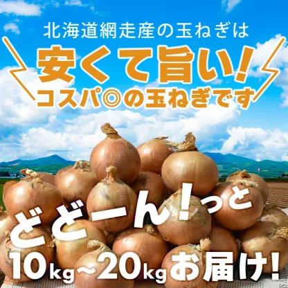 北海道 網走産 玉葱 10kg 20kg たまねぎ タマネギ カレー シチュー バーベキューやギフトに！ 国産 北海道産 網走 玉葱 玉ねぎ 産地直送 大容量 10キロ 20キロ お得用 まとめ買い 業務用 贈り物 甘い シャキシャキ 美味しい 北海道