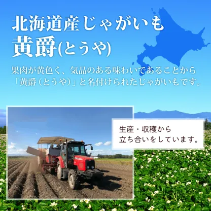 北海道産 じゃがいも 黄爵(とうや) 10kg 黄色くなめらかな じゃが芋 野菜 シチュー カレー ジャガイモ 国産 北海道産 産地直送 大容量 お得用 徳用 大容量 まとめ買い 業務用 贈り物 ほくほく 美味しい