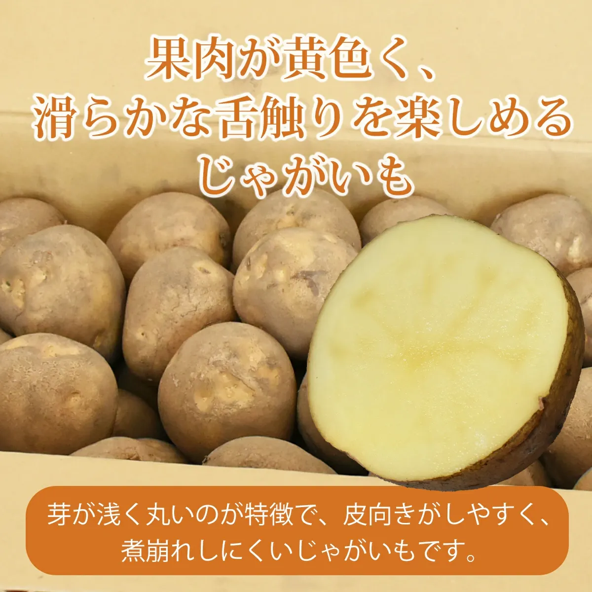 北海道産 じゃがいも 黄爵(とうや) 10kg 黄色くなめらかな じゃが芋 野菜 シチュー カレー ジャガイモ 国産 北海道産 産地直送 大容量 お得用 徳用 大容量 まとめ買い 業務用 贈り物 ほくほく 美味しい