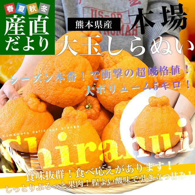 【決算特別価格！】熊本県から産地直送 熊本県産 大玉 しらぬい(不知火) 優品以上 4Lから2Lサイズ たっぷり約5キロ1箱(14玉から20玉前後) 送料無料 しらぬひ 柑橘