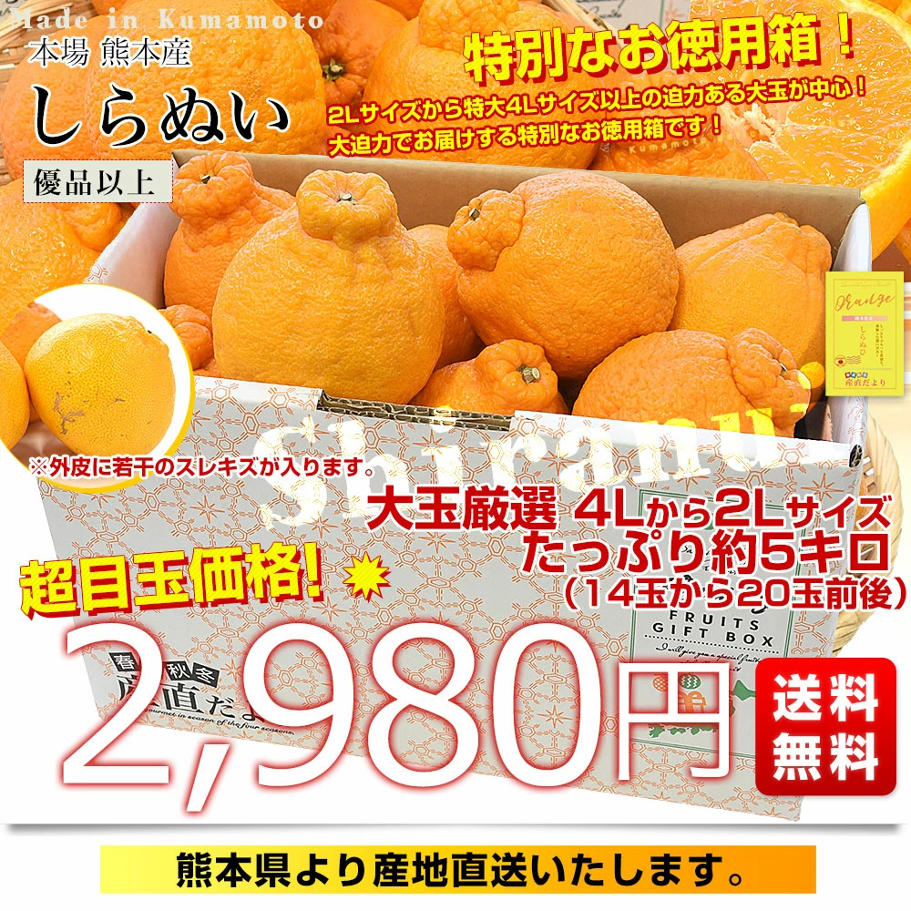 【決算特別価格！】熊本県から産地直送 熊本県産 大玉 しらぬい(不知火) 優品以上 4Lから2Lサイズ たっぷり約5キロ1箱(14玉から20玉前後) 送料無料 しらぬひ 柑橘