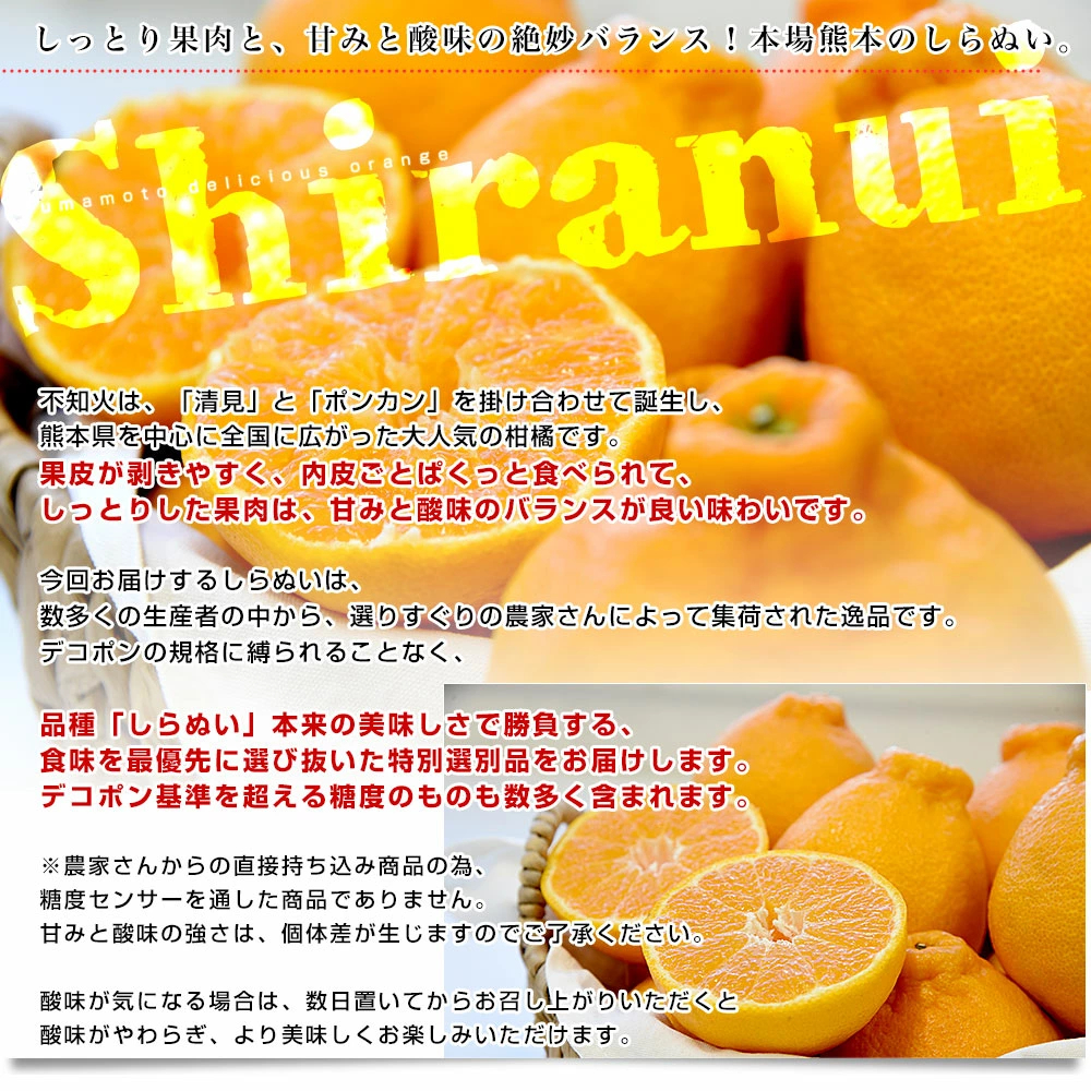 【決算特別価格！】熊本県から産地直送 熊本県産 大玉 しらぬい(不知火) 優品以上 4Lから2Lサイズ たっぷり約5キロ1箱(14玉から20玉前後) 送料無料 しらぬひ 柑橘