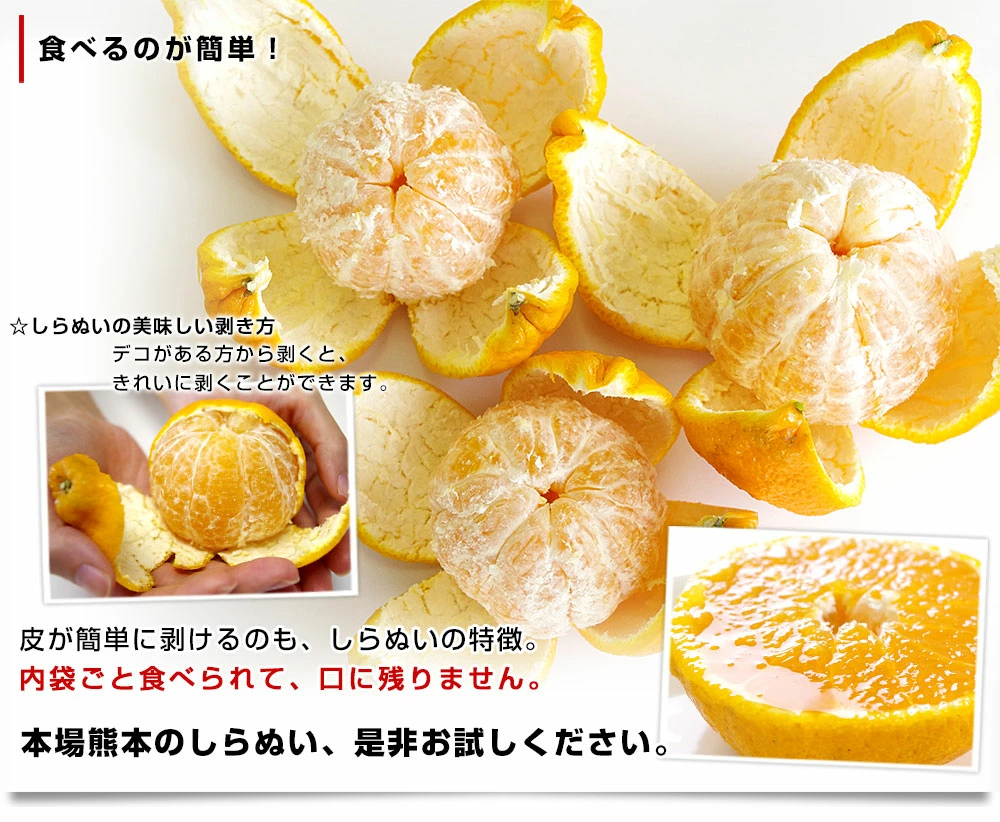 【決算特別価格！】熊本県から産地直送 熊本県産 大玉 しらぬい(不知火) 優品以上 4Lから2Lサイズ たっぷり約5キロ1箱(14玉から20玉前後) 送料無料 しらぬひ 柑橘