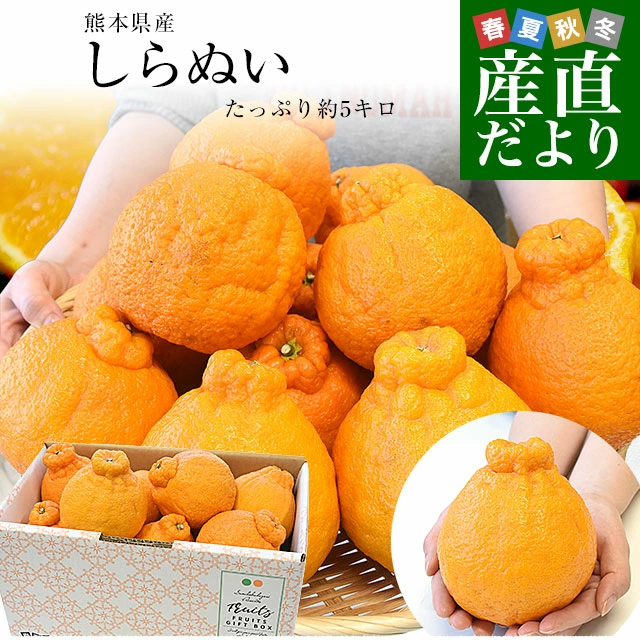 【決算特別価格！】熊本県から産地直送 熊本県産 大玉 しらぬい(不知火) 優品以上 4Lから2Lサイズ たっぷり約5キロ1箱(14玉から20玉前後) 送料無料 しらぬひ 柑橘