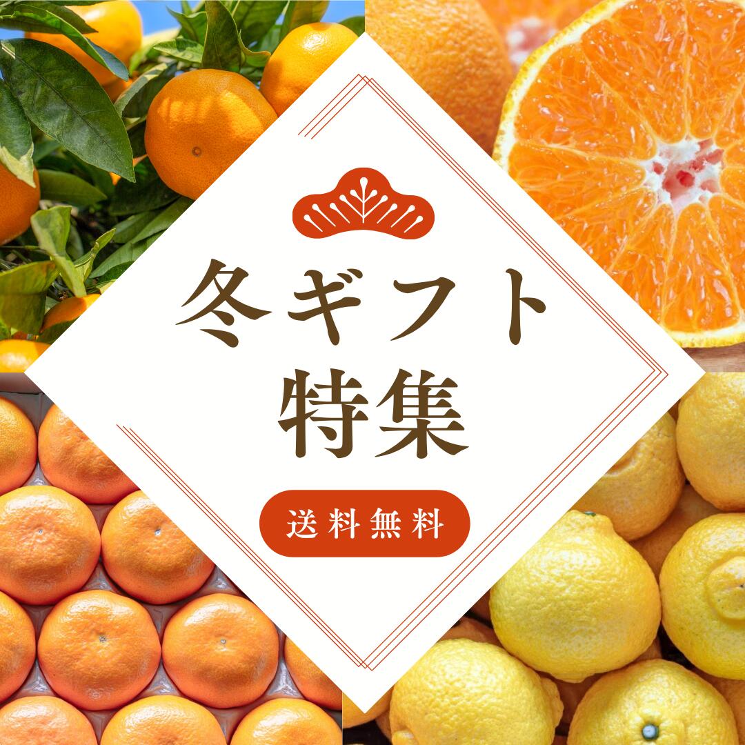 [Copy]大豊作祭 期間限定 特価＼楽天スーパーセール 4日 20:00 スタート／★愛媛が誇る 高級みかん 希少品種★創業85年 愛媛 みかん の老舗【産地直送】愛媛産 甘平 かんぺい 訳あり 3kg 「訳あり甘平3」 甘平みかん 西宇和みかん