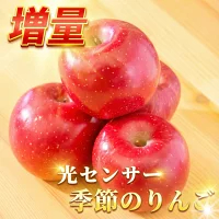 優良店舗 認定　割引ｸｰﾎﾟﾝ＋ﾎﾟｲﾝﾄ最大10倍 光センサーりんご 楽天優良 認定店 【増量】 グルメ大賞 青森県産 りんご 規格外品 サンふじ ふじ  サンつがる 規格外 訳あり 家庭用 ジュース リンゴジュース 1.5kg 2kg 3kg 5kg 10kg 2キロ 3キロ 5キロ 10キロ