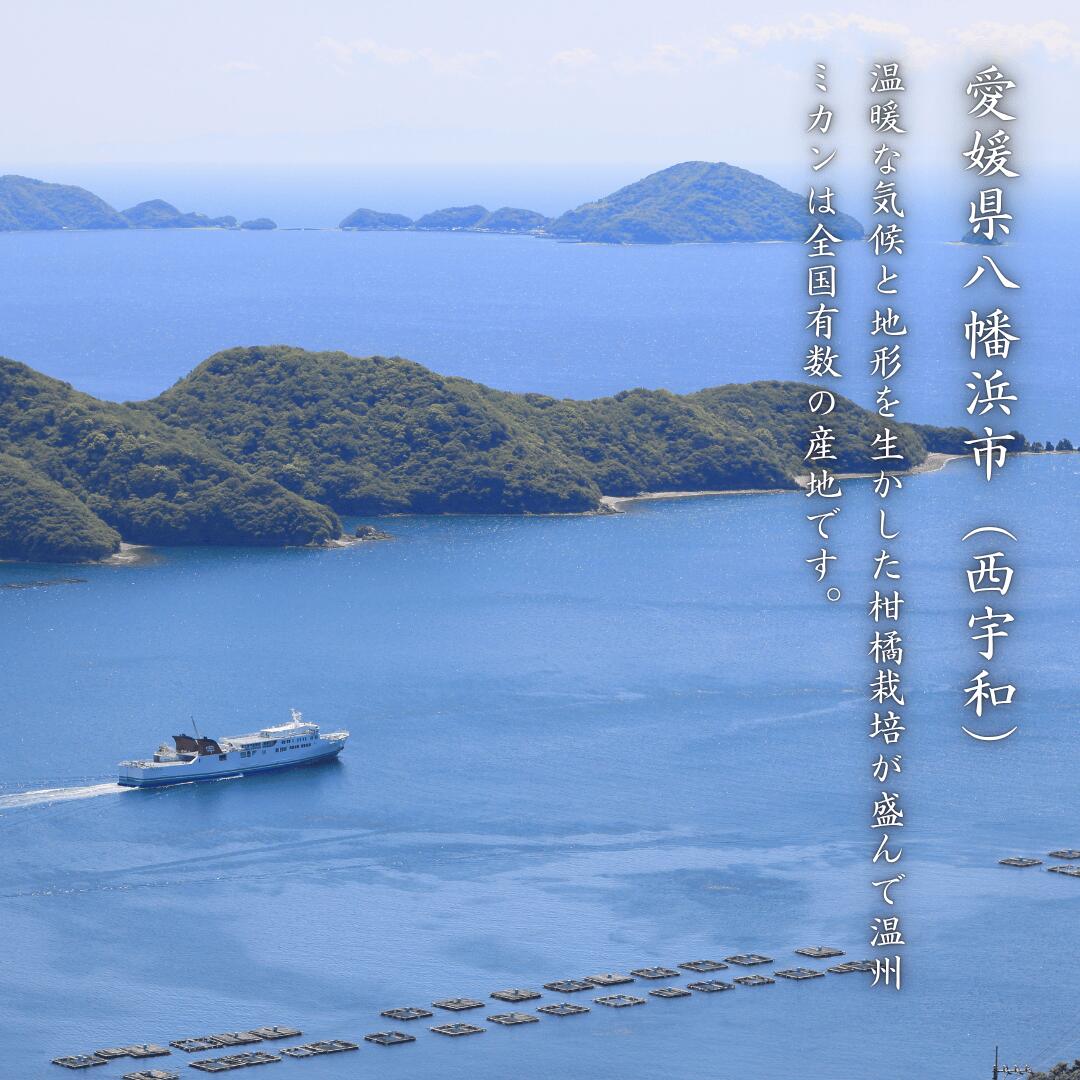 大豊作祭 期間限定 特価＼楽天スーパーセール 4日 20:00 スタート／★愛媛が誇る 高級みかん 希少品種★創業85年 愛媛 みかん の老舗【産地直送】愛媛産 甘平 かんぺい 訳あり 5kg 「訳あり甘平5」 甘平みかん 西宇和みかん