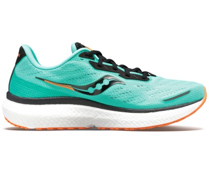 Men's Triumph 19 Running