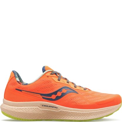 Men's Triumph 19 Running