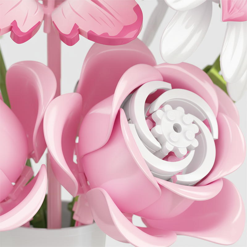 Camellia, Magnolia, Rose & Frans Gerbera-chaoxingtoys