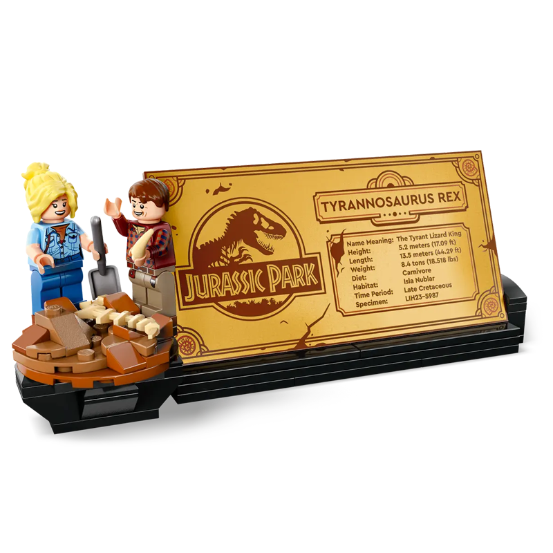 Large T-Rex Dinosaur Skeleton Fossil-chaoxingtoys