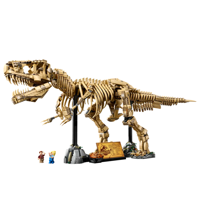 Large T-Rex Dinosaur Skeleton Fossil-chaoxingtoys