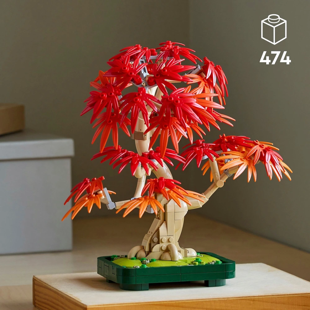 Bonsai du Japon